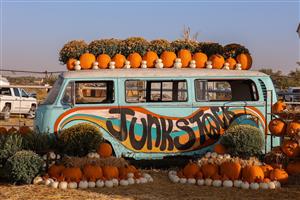 junkstock Van with Pumpkins