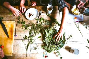 harvest of herbs