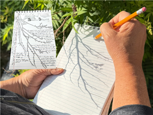 Tracing Nature