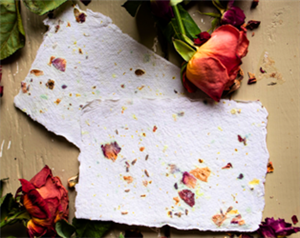 Paper Making Workshop