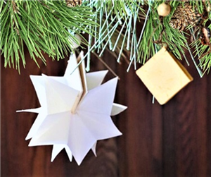 Folding Star Journal 