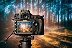Picture of a DSLR Camera in front of a forest landscape.