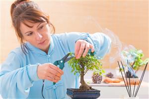 woman pruning bonsai tree