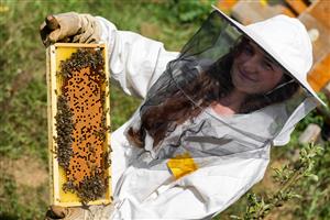 woman beekeeper holding honeycomb