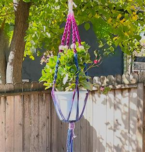 potted plant in colorful macrame hanger